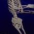 Dancing Skeleton Dancing To Spooky Scary Skeletons Halloween Songs 2023