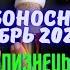 БЛИЗНЕЦЫ СУДЬБОНОСНЫЙ ДЕКАБРЬ 2024 НЕОЖИДАННЫЕ ПЕРЕМЕНЫ Tarò Ispirazione