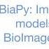 BiaPy Import Export BioImage Model Zoo Models In Notebooks