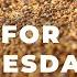 Wheat Is Up Wednesday Morning Opening Market Minute