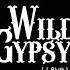 Wild Gypsy Johnny Trouble Feat Alex Weeth