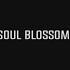 Narcotic Chill Soul Blossom Feat Urakunov