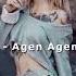 Elsen Pro Agen Agen