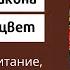 Богородичная икона Неувядаемый цвет обретение почитание молитва