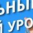 Как успешно провести свой первый урок Что НЕ надо делать и как стать любимым учителем