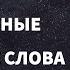 Самые важные испанские слова и фразы по темам для начинающих Учим испанский язык легко 16 тем