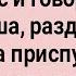 Как Начальник Секретаршу в Лес Повёз Сборник Свежих Анекдотов Юмор