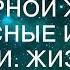 УСТРОИЛ СЮРПРИЗ ДЛЯ НЕВЕРНОЙ ЖЕНЫ Интересные истории из жизни Жизненные аудио рассказы