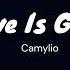 Love Is Gone Camylio