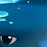 Saving Humpback Whale Kids Cartoons Police Rescue Sheriff Labrador