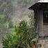 100 Year Old Abandoned Village House Bread Making In Chipped Stone Primitive Water Mill