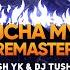 UNRELEASED HOROUCHA MYSTERY REMASTER DJ TUSHAR TK DJ YASH YK KOP Mandaltrance