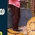 വ ട ന പ റക ൽ അണല പ രസവ ച ച 41 ക ഞ ഞ ങ ങൾ Vava Suresh Snakemaster EP 854