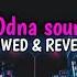 DJ YA ODNA SOUND THE KING PLAT KT KANE SLOWED REVERB VIRAL TIKTOK