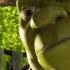 Hallelujah From Shrek Rufus Wainwright TUNE