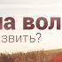 Как развить силу воли Где взять энергию чтобы стать лучше