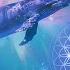 Dolphin Codes 528hz Sparkling Water Blue Light Healing Frequencies Dolphin Whale Sounds