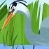 WILD KRATTS Looking For Herons Birds