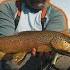 FALL FLY FISHING IN MONTANA Trouts On The Water Episode 4 Montana Fall With Tanner Smith