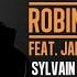 ROBIN SCHULZ FEAT JAMES BLUNT OK SYLVAIN ARMAND REMIX OFFICIAL AUDIO