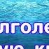 Настрой Г Н СЫТИНА На долголетнюю женскую красоту Тело Лицо