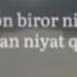 Aytishadiku Agar Inson Biror Nmani Chin Dildan Niyat Qilsa Butun Koinot Uni Shunga Yetishtirishga