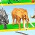 Animals Vs Dinosaurs Vs Brachiosaurus Speed Race Zigzag Down Course Super Animal Battle