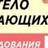 ДОМАШНЯЯ ТРЕНИРОВКА НА ВСЕ ТЕЛО ДЛЯ НАЧИНАЮЩИХ 11 МИНУТ