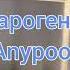 Парогенератор для хамама Anypool турецкой бани