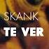 Skank Te Ver Áudio Oficial