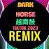 Dark Horse 越南鼓 RinV X VAnh Remix Tiktok 2023 DJ抖音版 Dolce Gabbana Remix Hot Tiktok Douyin