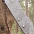 Shellham Australian Army Clasp Knife