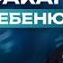 От учителя истории до ОСНОВАТЕЛЯ крупной компании Непростой путь Михаила Гребенюка