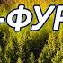 Сура Аль Фуркан Сиротуллох Раупов