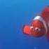 Finding Nemo Dory S Best Moments