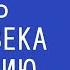 Смотреть на человека и ситуацию нужно целиком Недельная глава Ваикра Вадим Рабинович