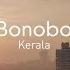 Bonobo Kerala Official Audio