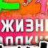 ВСЕ ТРАВМЫ ВОЛКА ИЗ НУ ПОГОДИ ГЛАЗАМИ ВРАЧА ИСТОРИЯ БОЛЕЗНИ РЕАКЦИЯ на Кино Огонь