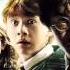 02 Fawkes The Phoenix Harry Potter And The Chamber Of Secrets Soundtrack