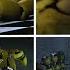 All Of The Rise Of Springtrap Animations