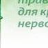 Успокаивающие травы для крепких нервов 2018