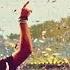 The Best Of Alesso 2013