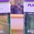 How To Use Plagron Alga Grow And Alga Bloom