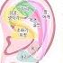 귀로 바라본 전신 건강 신체 부위별 귀 지압점 나는 몸신이다 299 회