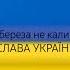 а береза не калина СЛАВА УКРАЇНИ