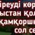 Сейіл Аяған мен Роза Әлқожа Сол сен бе едің Розаның әндері ай