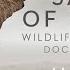 Safari Of My Life Wildlife Photography Documentary With Klaus Tiedge