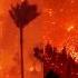 Hollywood Hills Fire LIVE Los Angeles Fire Kills At Least 10 California Wildfire N18G