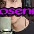 Rammstein Rosenrot Pop Electronic Cover By Talles Cattarin