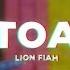 Lion Fiah Toa Video Oficial